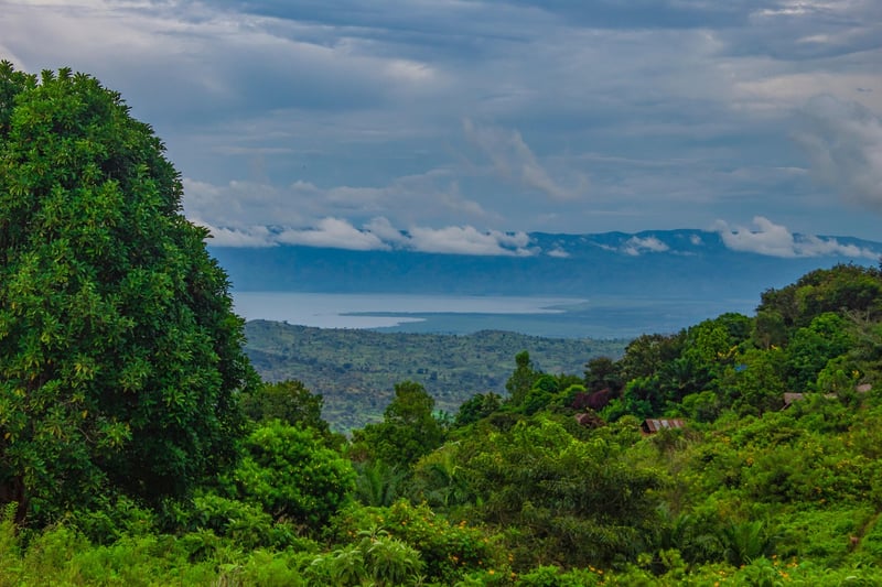 Congo Basin, Central Africa